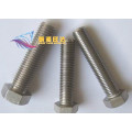 Molybdenum Fastener,Pure Molybdenum fastener